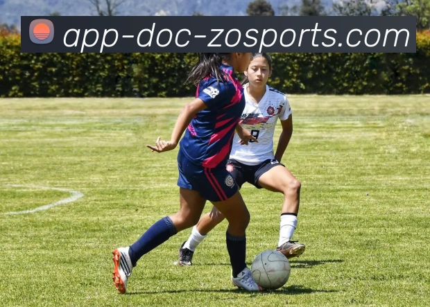 西甲联赛小罗：小罗与西甲的精彩时光